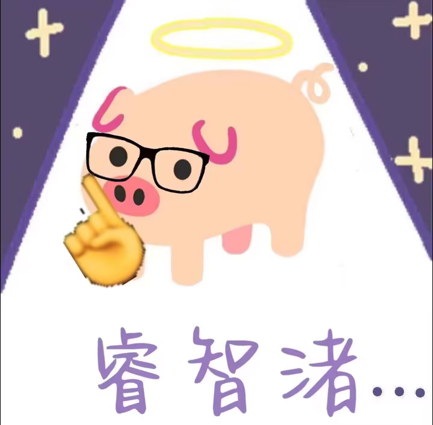 睿智猪